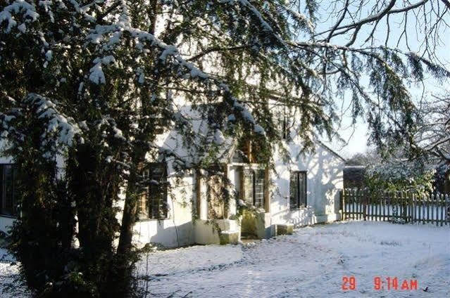 The White House