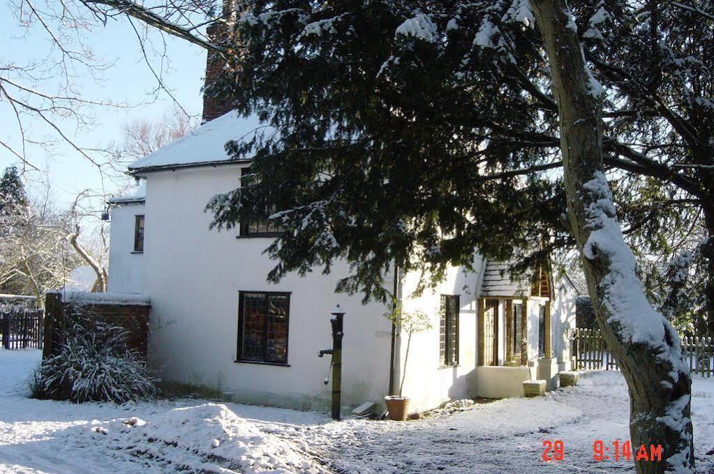 Bed & Breakfast The White House
