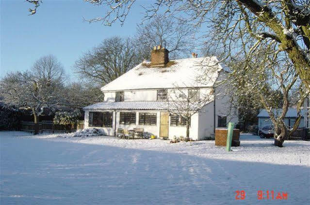 Bed & Breakfast The White House 4*